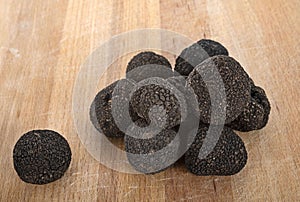 Tuber melanosporum in studio photo