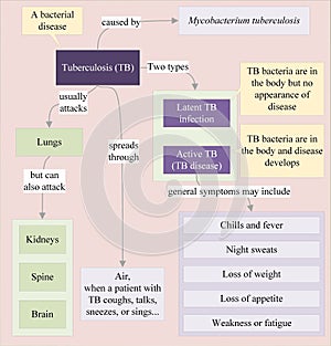 Tuberculosis (TB) is caused by bacteria, Mycobacterium tuberculosis