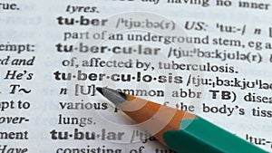 Tuberculosis word definition in dictionary, severe disease of lungs and tissues