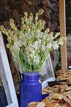 Tuberose flower decoration