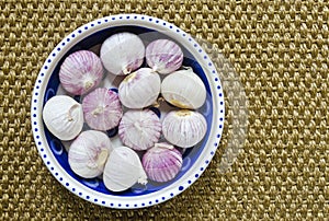 Tubers of solo garlic