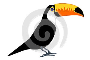 Tucan