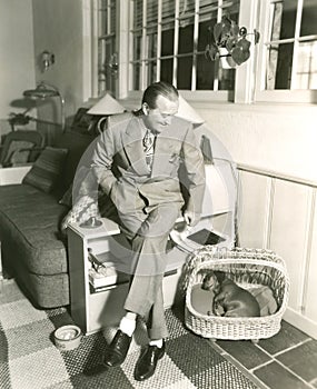 Tuckered out dachshund fast asleep in basket photo