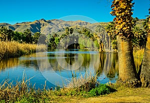 Tucson, Arizona Oasis Park