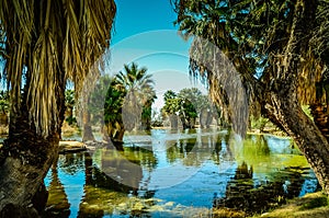 Tucson, Arizona Oasis Park