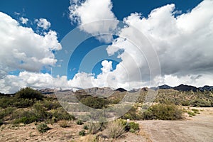 Tucson Arizona - Sabino Canyon