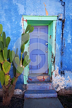 Tucson House Door