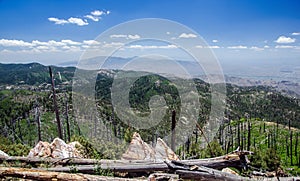 View of Santa Catalina Mountains from atop Mount Lemmon in Tucson, Arizona