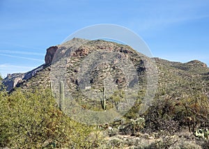 Tucson's Sabino Canyon