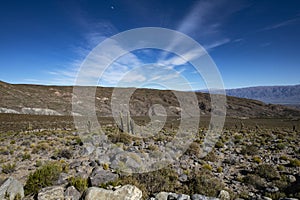 Tucuman Argentina Calchaquies valley arid and dry with mountains rocks in Tafi del Valle conifers molles and cardones cactus