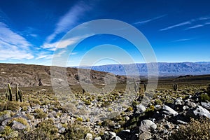 Tucuman Argentina Calchaquies valley arid and dry with mountains rocks in Tafi del Valle conifers molles and cardones cactus photo