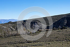 Tucuman Argentina Calchaquies valley arid and dry with mountains rocks in Tafi del Valle conifers molles and cardones cactus photo