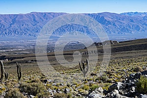 Tucuman Argentina Calchaquies valley arid and dry with mountains rocks in Tafi del Valle conifers molles and cardones cactus photo