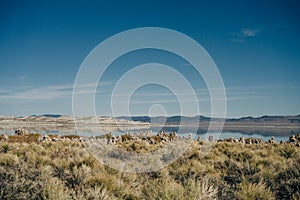 Tufa columns reflected in the mirrored water surface at Mono Lake, California