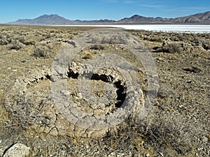 Tufa formations in the Nevada desert photo