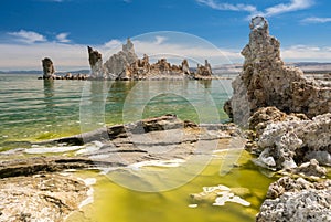 Tufa in the salty waters of Mono Lake in California