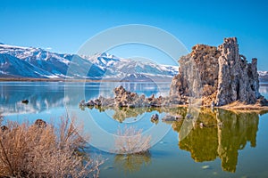 Tufa towers columns of limestone at Mono Lake