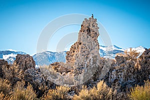 Tufa towers columns of limestone at Mono Lake