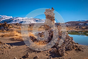 Tufa towers columns of limestone at Mono Lake