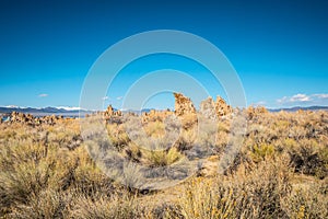 Tufa towers columns of limestone at Mono Lake