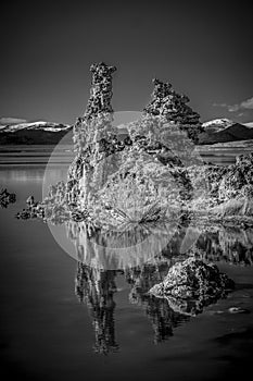 Tufa towers columns of limestone at Mono Lake