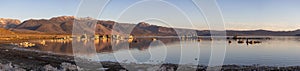 Tufa towers rock formation in Mono Lake. Sunny Sunrise.