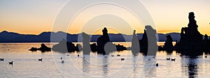 Tufa towers rock formation in Mono Lake. Sunny Sunrise.