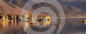 Tufa towers rock formation in Mono Lake. Sunny Sunrise.