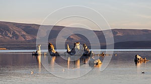 Tufa towers rock formation in Mono Lake. Sunny Sunrise