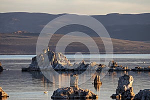 Tufa towers rock formation in Mono Lake. Sunny Sunrise