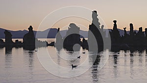 Tufa towers rock formation in Mono Lake. Sunrise