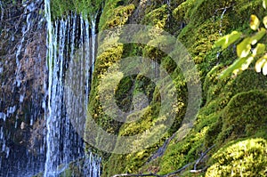 Tufas -carbonate sinter deposits- and waterfalls in the Cuervo river, Cuenca, central Spain