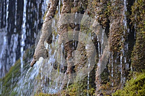 Tufas -carbonate sinter deposits- and waterfalls in the Cuervo river, Cuenca, central Spain