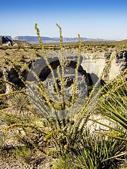 Tuff Canyon, Big Bend National Park, Texas
