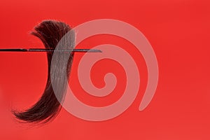 A tuft of brown hair with a curved tip in a comb hangs on a red background. Weakened lifeless dry hair