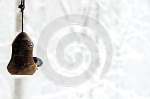 Tufted titmouse bird sitting in a birdfeeder during a winter storm