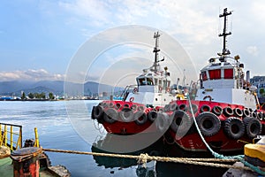 Tug at Batumi pier