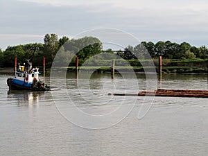 Tug boat hauls raw logs on Fraser river, BC, Canada