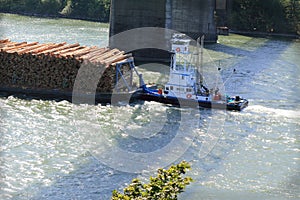 Tug boat under Bridge