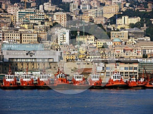 Tug boats in Genoa harbour