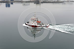 Tug Seifur 2955 underway in a calm harbour