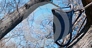 Tug toy for dogs hangs on a tree on rope and sways slightly in the park, close up, bottom-up view, blue sky on