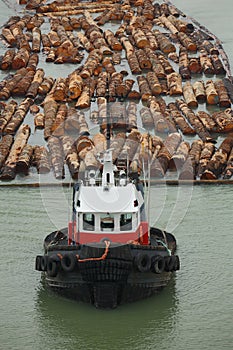 Tugboat and Log Boom