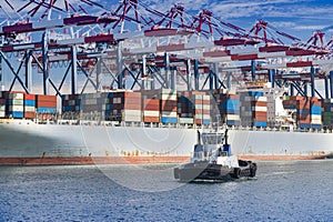 Tugboat passes by a docked shipped