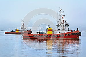 Tugboats in the Port Aquatorium