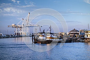 Tugboats in port during the late afternoon