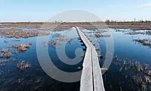 Tuhu nature Tuhu nature walking trail. wooden footbridges in the swamp. Estonia.