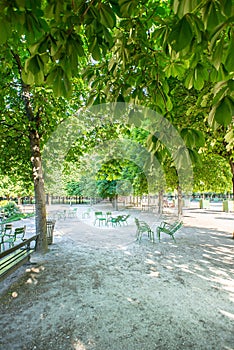 Tuileries Garden with Green Metal Chairs in a Sunny Spring Day in Paris