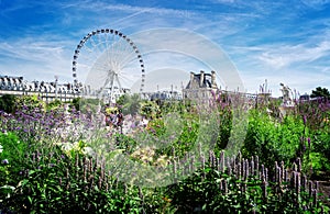 Tuileries garden, Paris