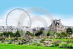 Tuileries garden, Paris